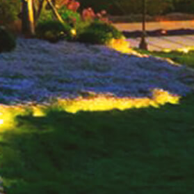 景觀設(shè)計(jì)注意事項(xiàng)